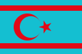Alternatif bayrak