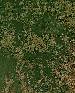 Brezilya'nın Mato Grosso eyaletindeki ormansızlaşmanın NASA uydu fotoğrafı. Ormandan tarlaya dönüşümler, daha soluk renkteki kare biçimindeki alanlar olarak görülmektedir.