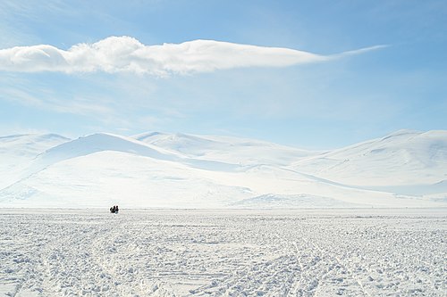 Ardahan (il)