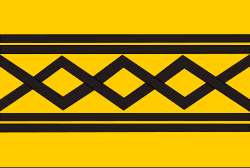 Törensel Batı Midlands Metropoliten Kontluğu bayrağı