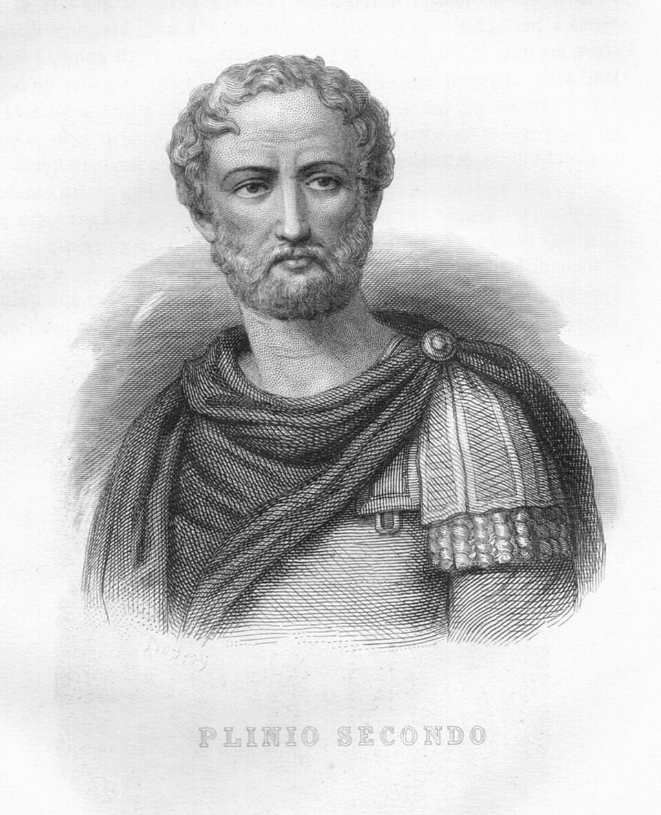 Yaşlı Plinius