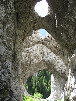 Güney Karpatlar