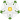 White_Rose_Badge_of_York