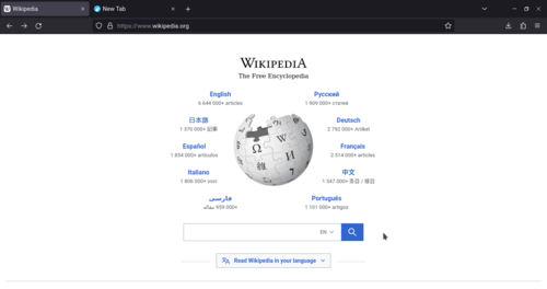Web tarayıcısı