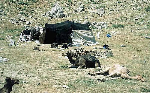 Anadolu Türkmenleri