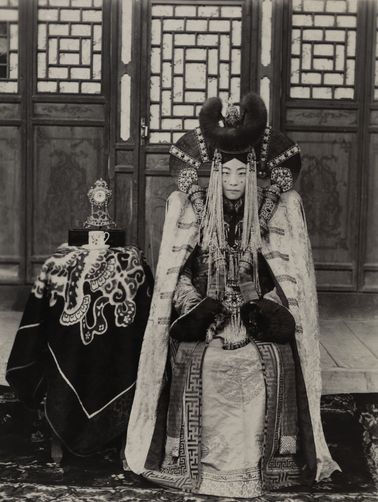 Moğol soyluları