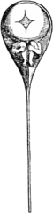 The homunculus