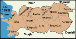Aydın (il) haritası