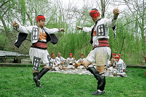 Kaşık (çalgı)