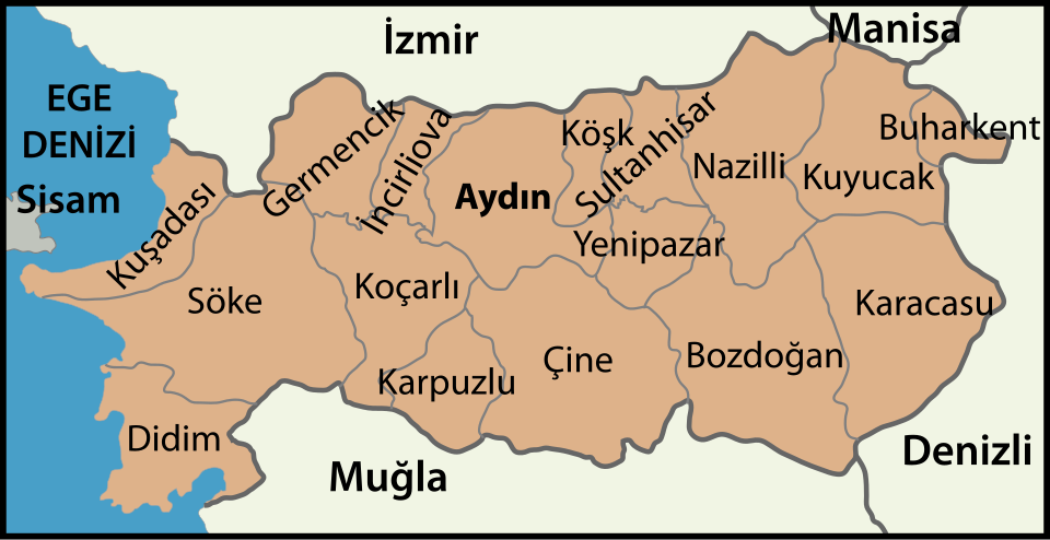 Aydın'ın ilçeleri