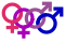 Cinsel partner