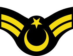 Astsubay çavuş