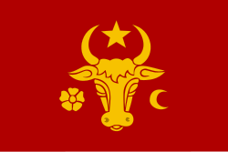 bayrağı