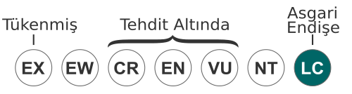 Kuş üvezi