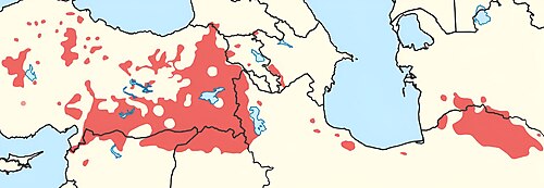 Kurmanci Kürtçesi