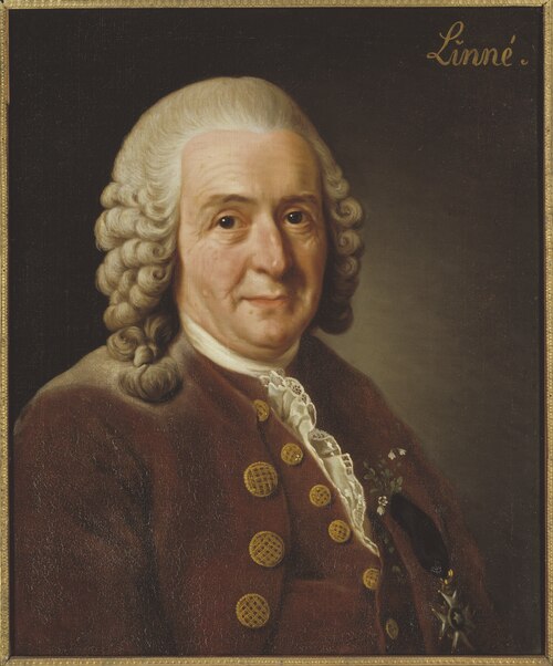 Carl Linne