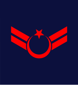 Uzman çavuş
