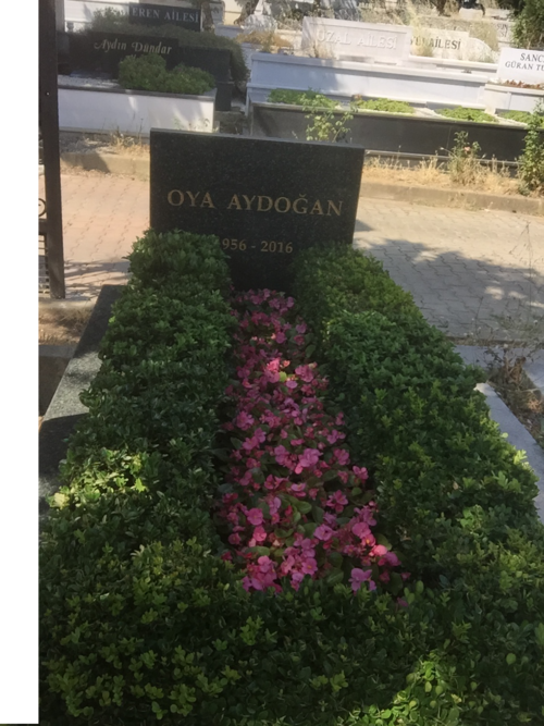 Oya Aydoğan