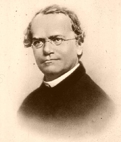 Mendel genetiği