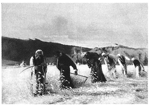 Bosna-Hersek Hırvatları