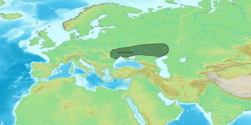 Ön Hint-Avrupalılar