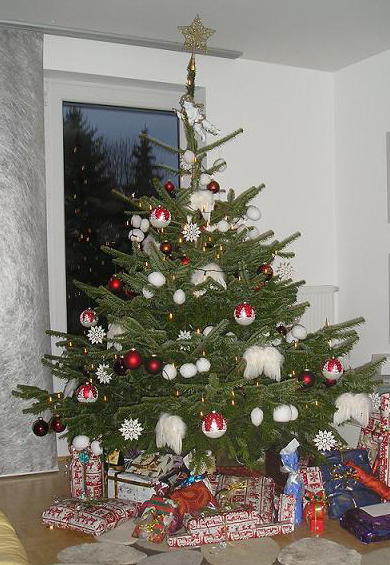 Noel ağacı