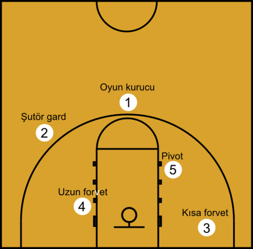 Basketbol pozisyonları