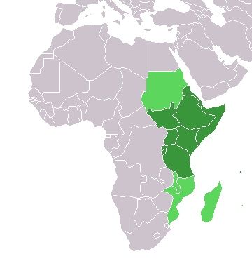 Doğu Afrika