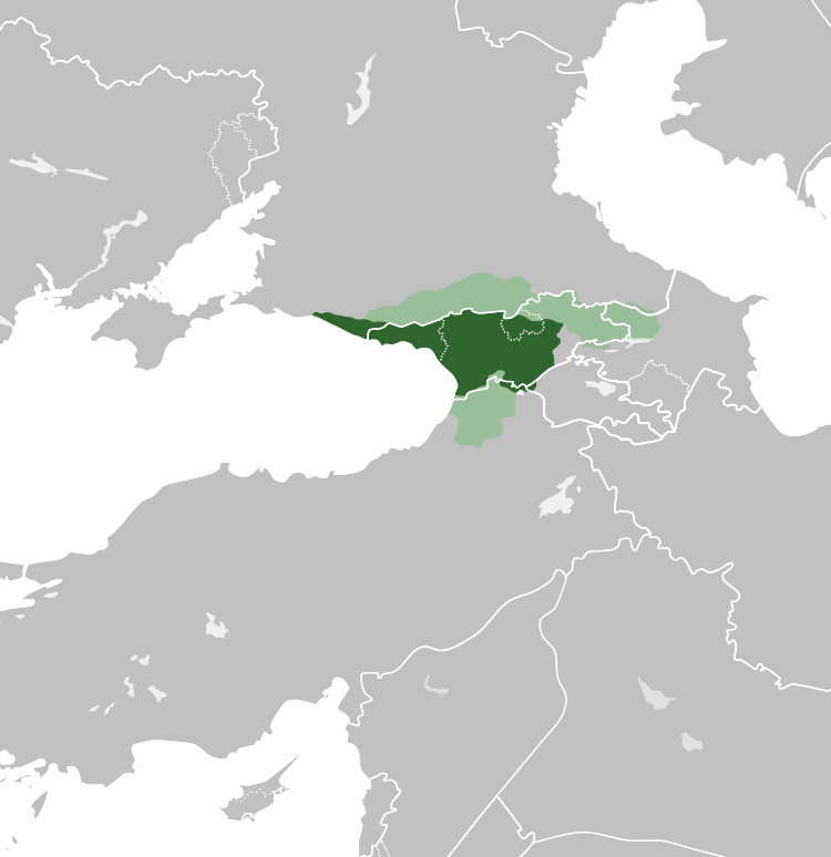 Abhazya Krallığı