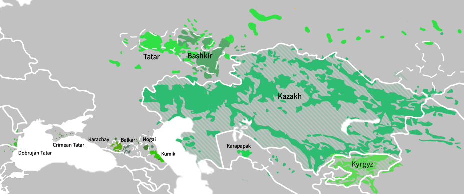 Kıpçak grubu