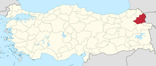 Doğruyol, Arpaçay