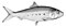 Taslak simgesi
