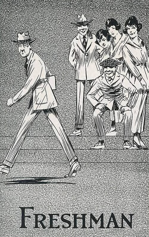 Freshman (eğitim)