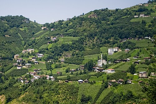 Yerleşme coğrafyası