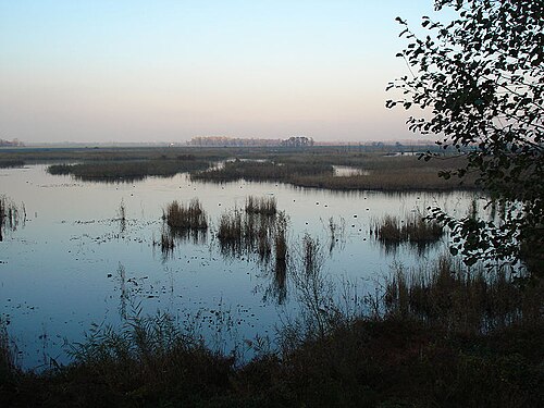 Düzce (il)