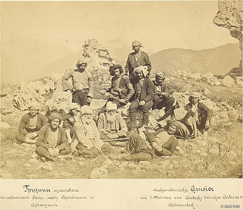 Türkiye Gürcüleri