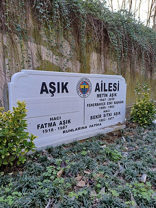 Metin Aşık