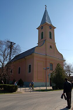 Katolik Kilisesi