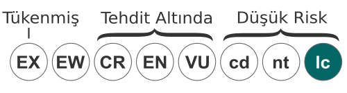 Ova kurbağası